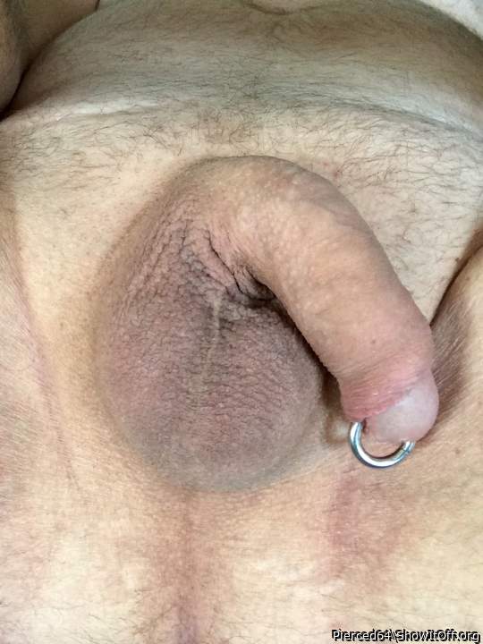 Photo of a horn from Pierced64