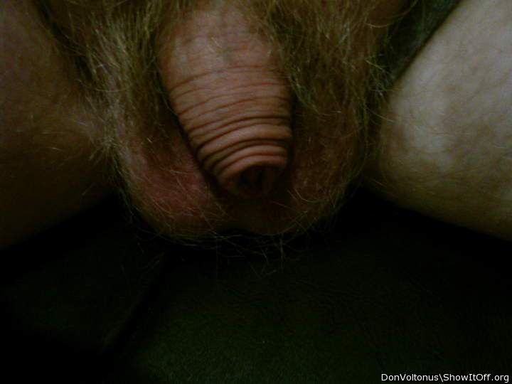 Somebody Requested a Flaccid Shot