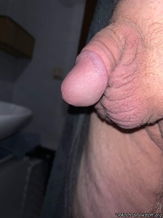 Do you like him?
