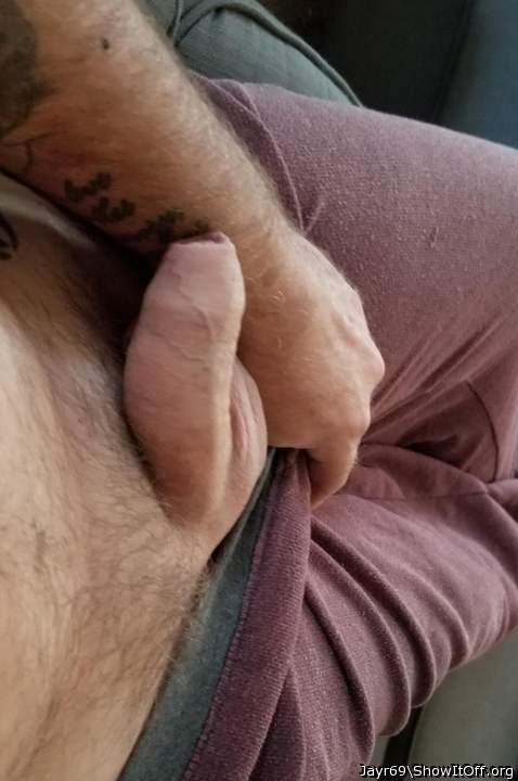 Photo of a middle leg from JayR69