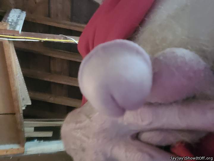 Photo of a stiffie from JayJay