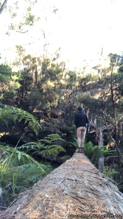 Photo of a cock from Xdcuminme