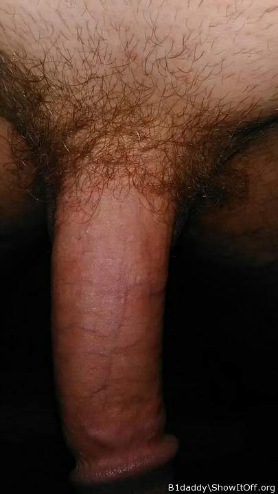 Photo of a ram rod from B1daddy