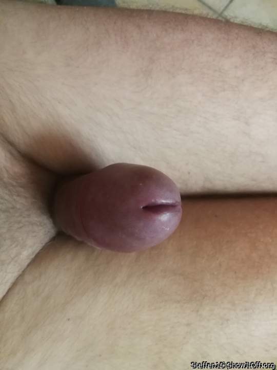 Photo of a third leg from Steffen15
