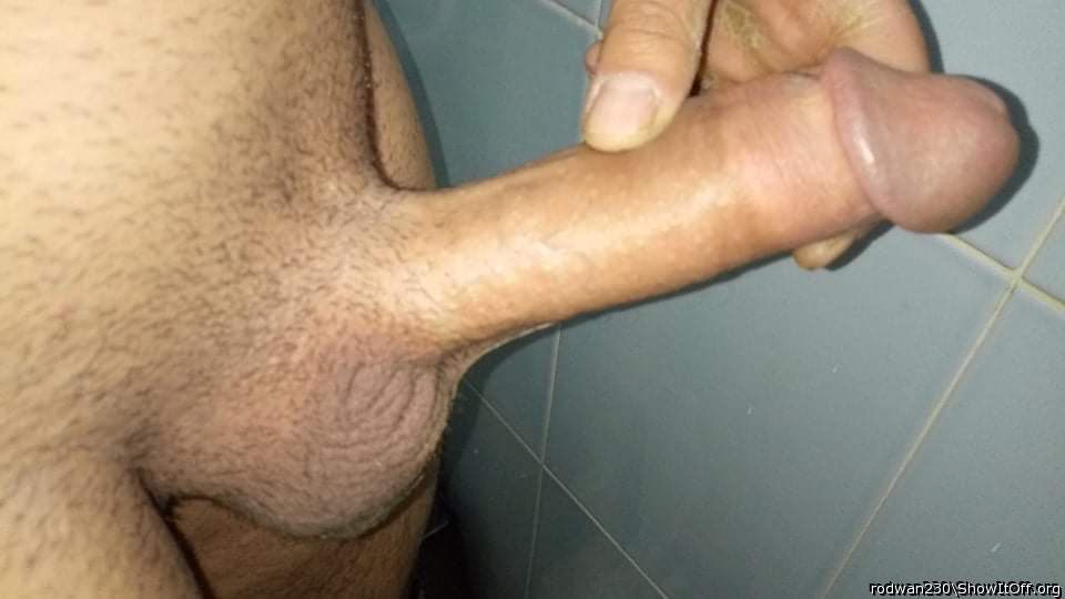 Photo of a weasel from rodwan230