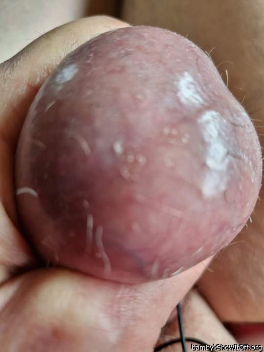 Testicles Photo from bamby