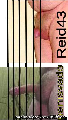 Unequal comparation latin and european old