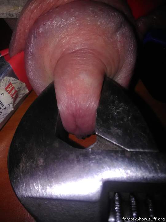 Photo of a joystick from forcbt