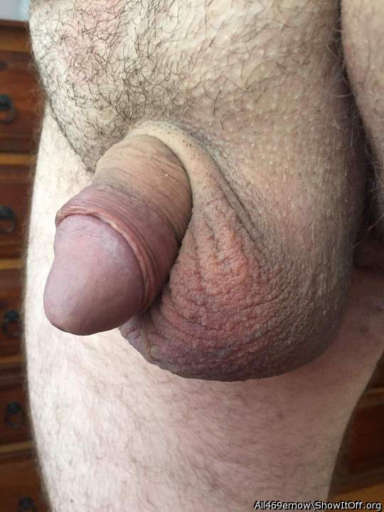 beautiful cock and balls!    