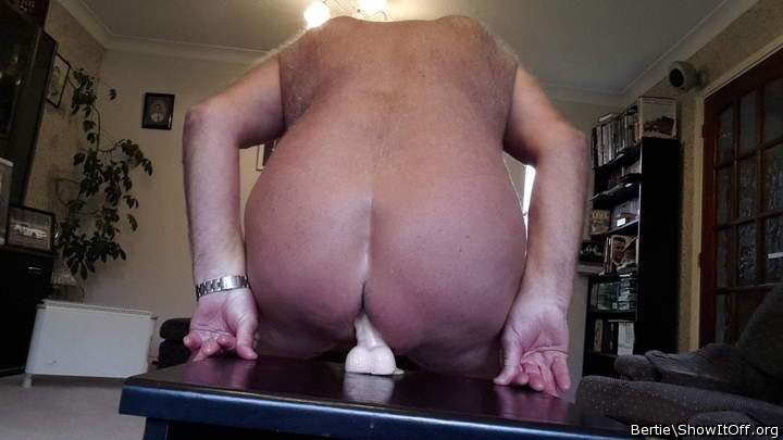 Photo of a third leg from Bertie
