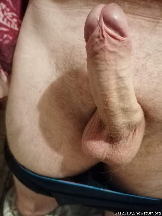 Photo of a third leg from SJT2118