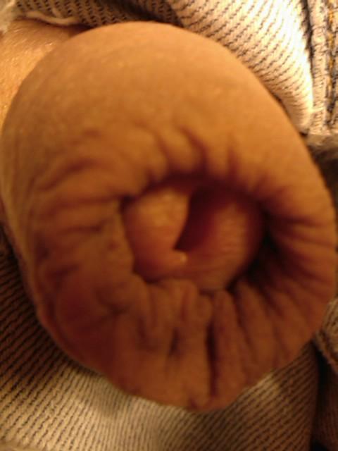 Photo of a one-eyed monster from yardog319