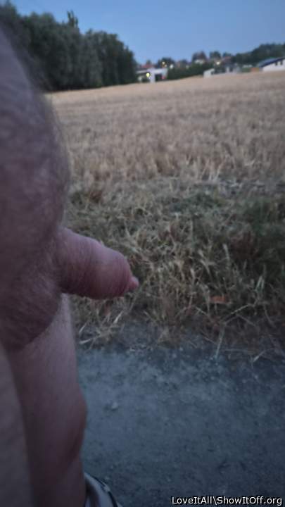 Photo of a hot dog from LoveItAll