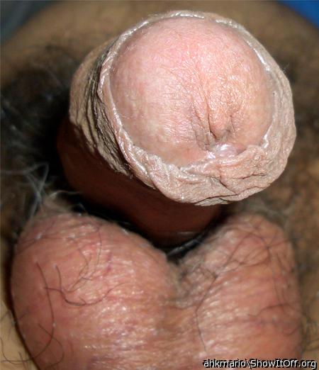 Photo of a middle leg from uncutmario