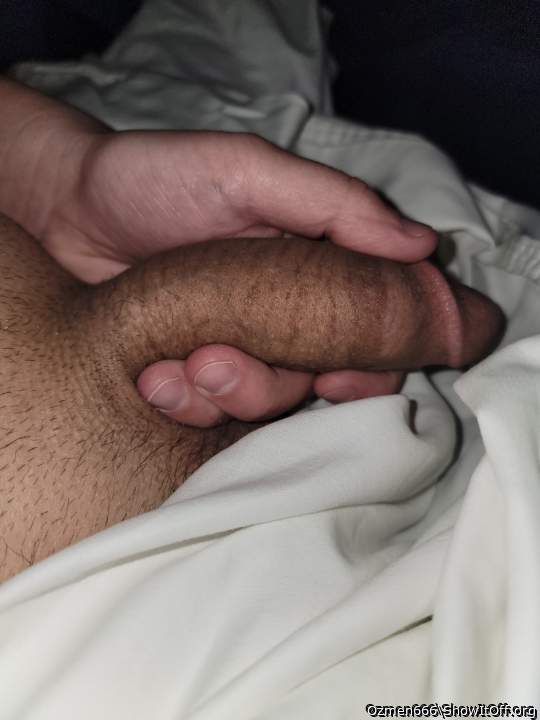 Photo of a middle leg from Ozmen666