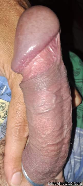 Photo of a python from Little