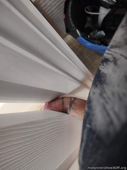 cock in door 2