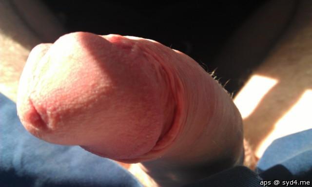 Photo of a dick from Aps