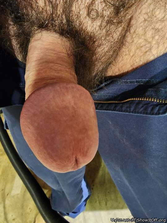 Photo of a penile from Mylimastuff