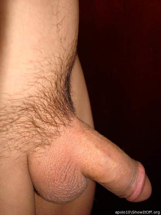 Photo of a middle leg from apolo10