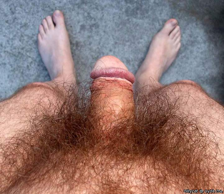 Photo of a meat stick from billycat