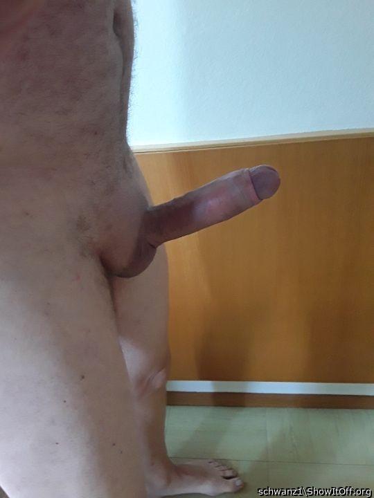 Photo of a hot dog from schwanz1