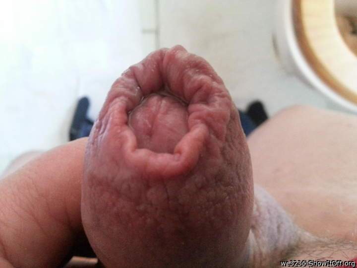 Photo of a bat from we3236