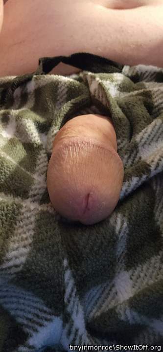 Photo of a dong from tinyinmonroe