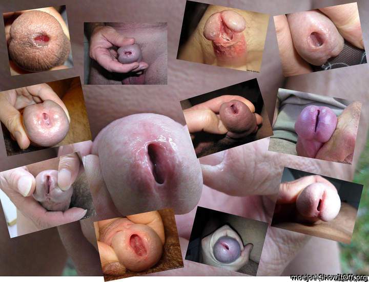 A tribute to open cum slits........