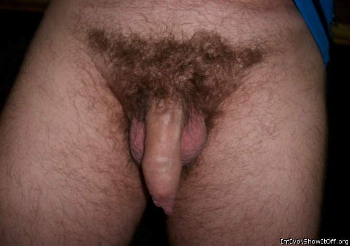 Frontal view of flaccid penis