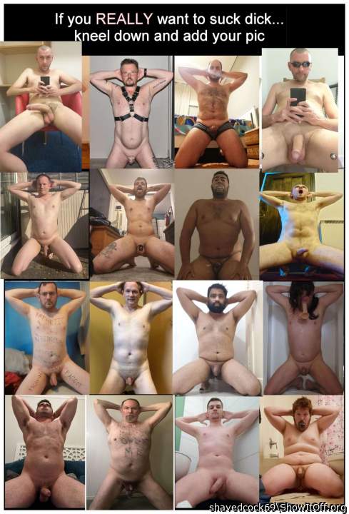 https://exposedfaggots.com/members/shavedcock-69/mediapress/