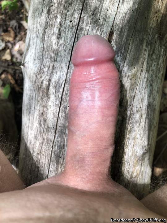 Log 1