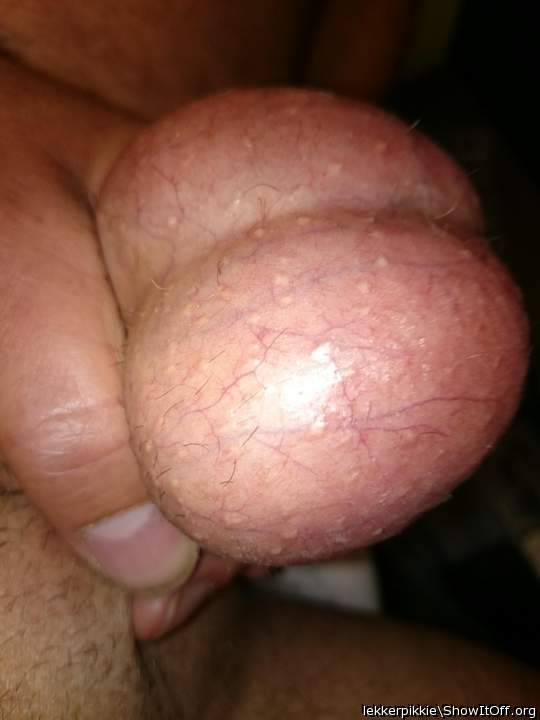 Testicles Photo from lekkerpikkie