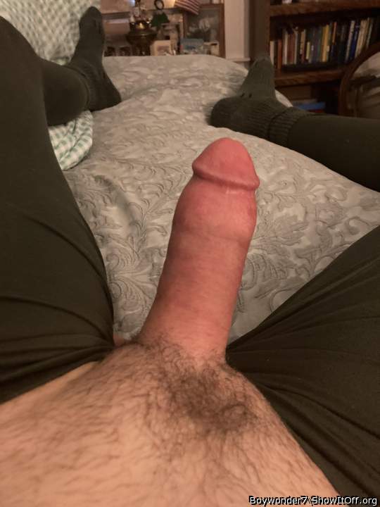Photo of a python from Boywonder7