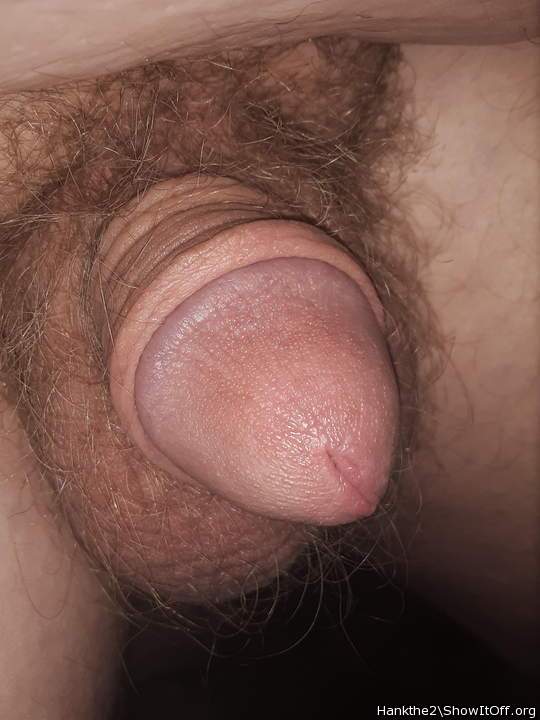 My red knob