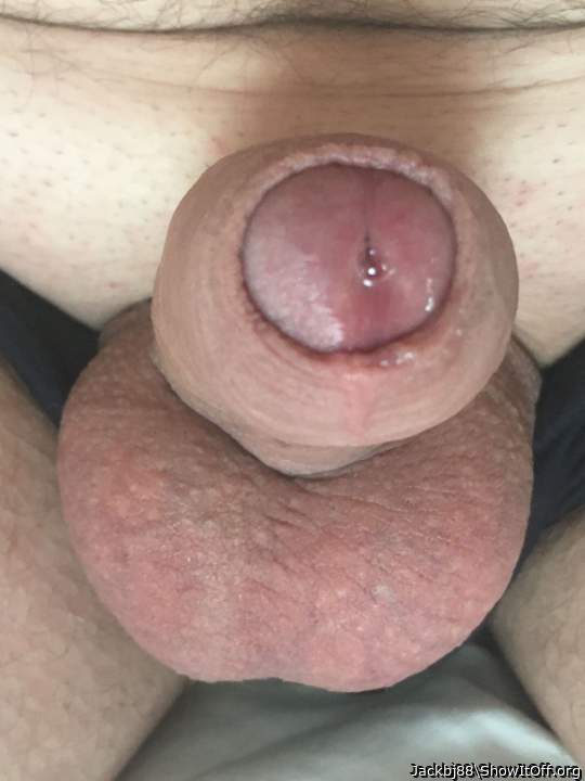 Cock & Balls Precum