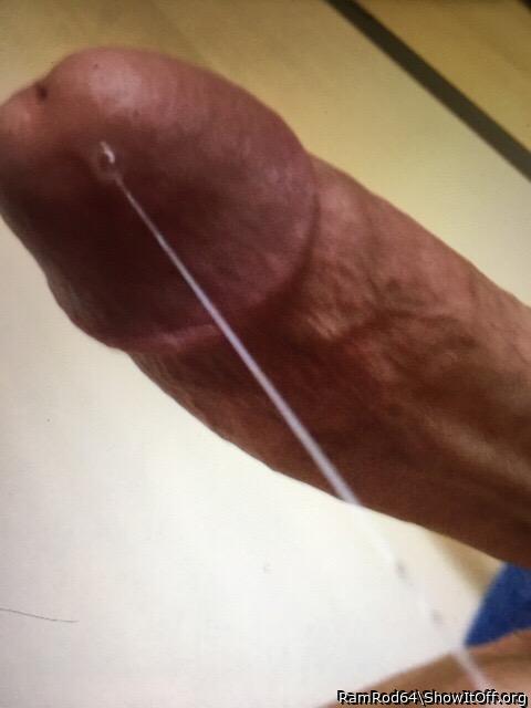 Photo of a pecker from RamRod64