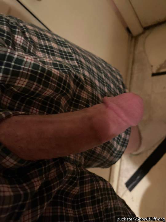 Photo of a third leg from Buckster