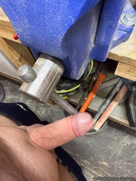 Photo of a cavalier from Nudist808
