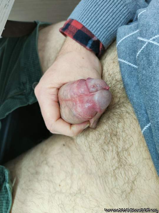 magnificent thick dick! voted!    