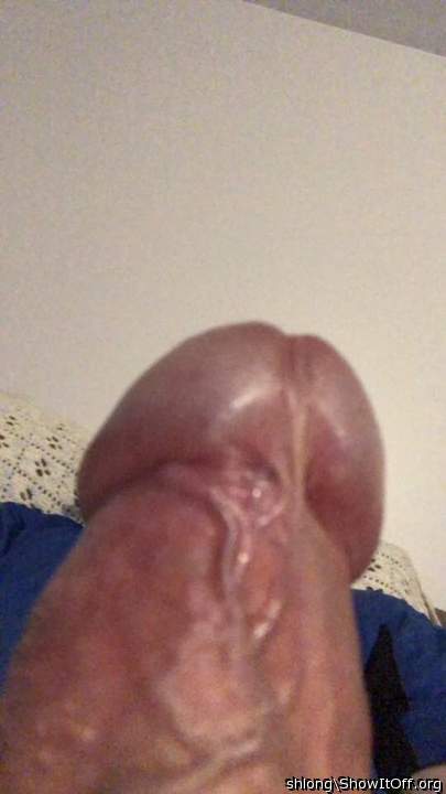 Photo of a thing from shlong