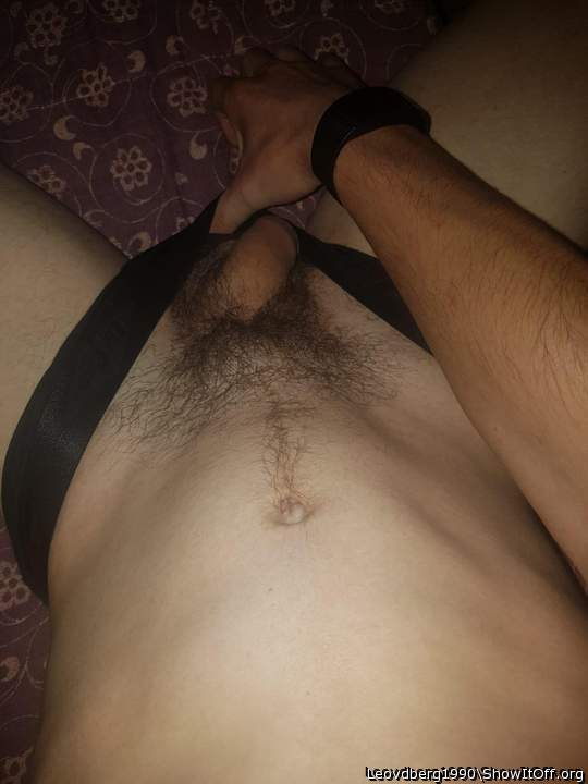 Photo of a horn from Leovdberg1990