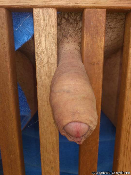 Photo of a love wand from spongeknob