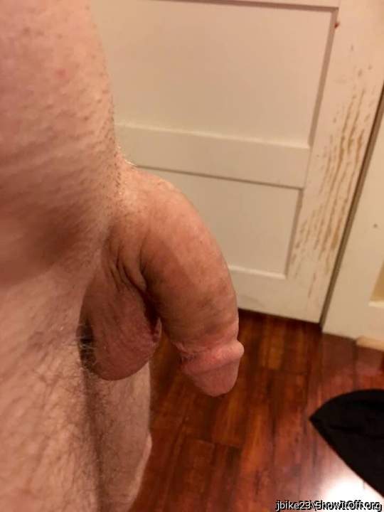 Photo of a snake from jbike23