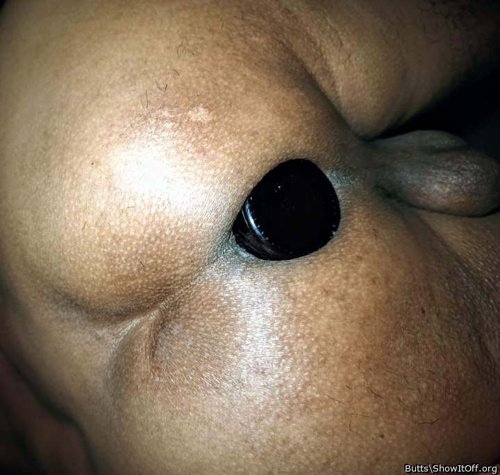 Photo of a lizard from Butts