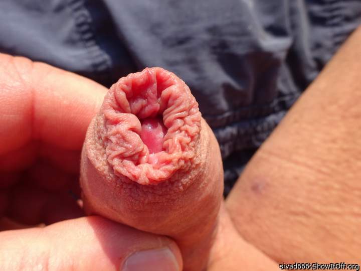 delicious foreskin!   