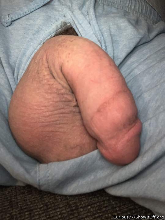 Photo of a dick from Curious77