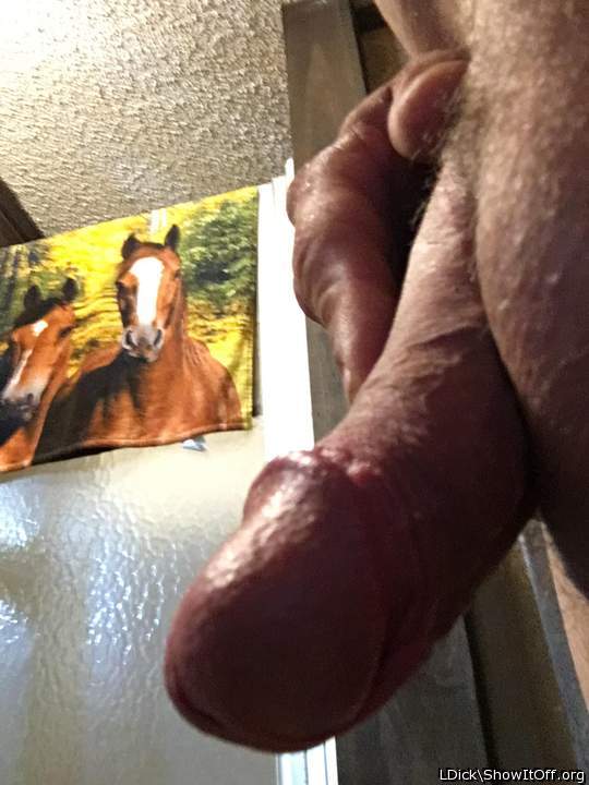 Photo of a penis from LDick