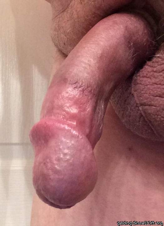 Photo of a drain pipe from gelding