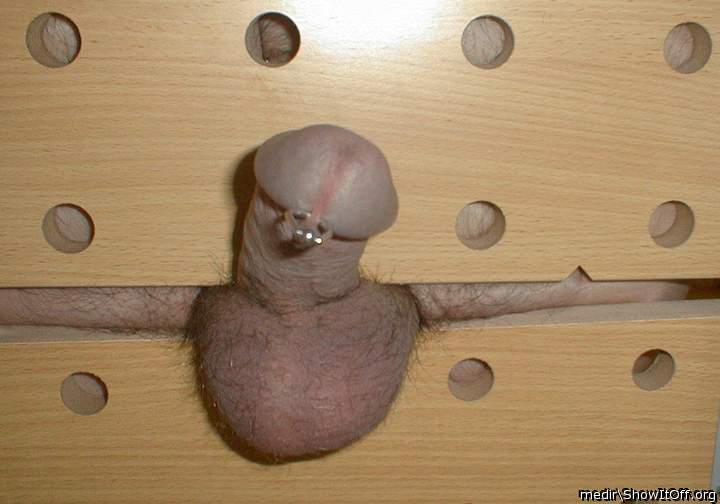 Testicles Photo from medir
